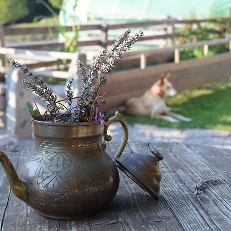 Agriturismo Athabaska San Lorenzo Dorsino Kültér fotó